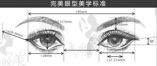 双眼皮美学