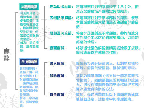 麻醉的分类