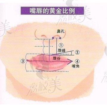 唇形改造胶原蛋白丰唇，该被淘汰吗?唇形手术的大致分类