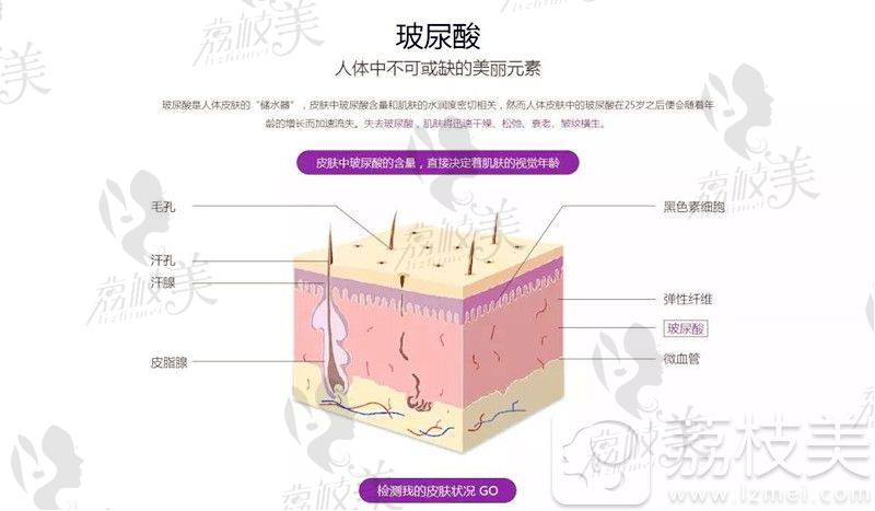 微信图片_20190806171345.jpg