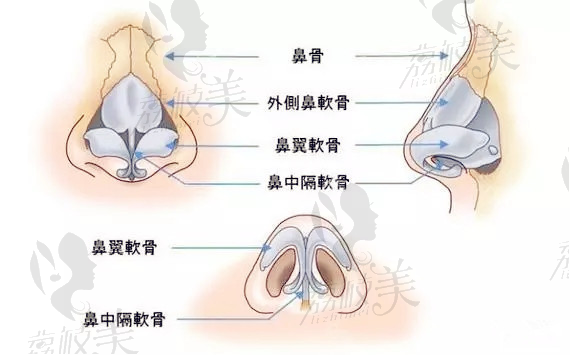 清潭FIRST鼻综合，究竟是选用肋软骨还是耳软骨？