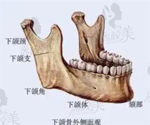 重庆星荣整形外科医院怎么样？做下颌角磨骨哪个医生好？
