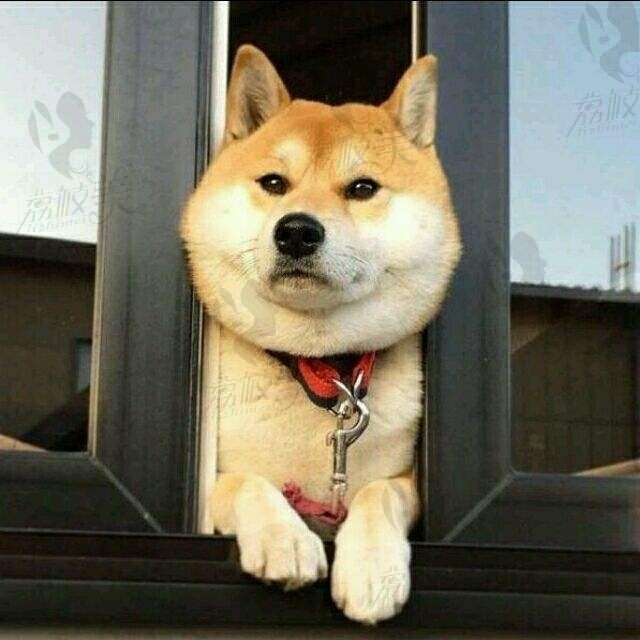 随风