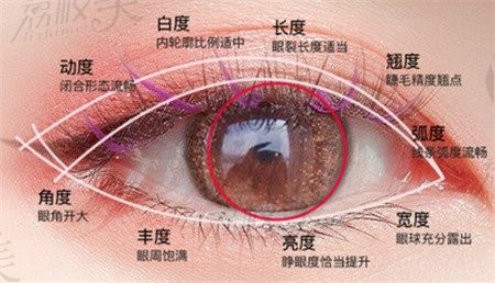 杭州双眼皮修复技术好的医生推荐，双眼皮修复多少钱也挖到了