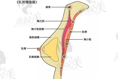上海薇琳王勇隆胸起价九万六，傲诺拉闪耀假体隆胸能改善乳房下垂