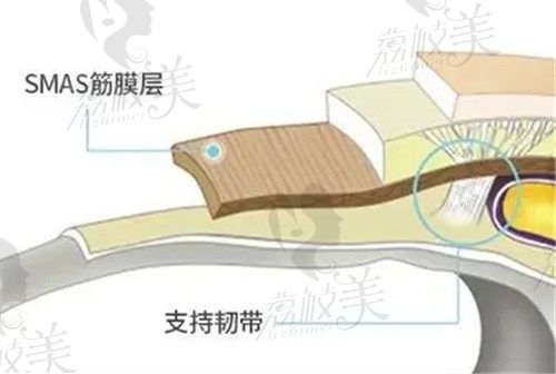 深圳杨建荣医生拉皮怎么样?回落快吗?参考医生简介+拉皮技术优势