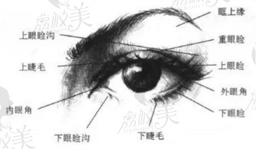 杭州高士乾做眼睛好吗？微创重睑切口1万起拥有自然灵动双眼皮 