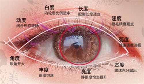 西安孙峰医生擅长妈生款无痕双眼皮，眼修复技术有名价格仅1.3万起