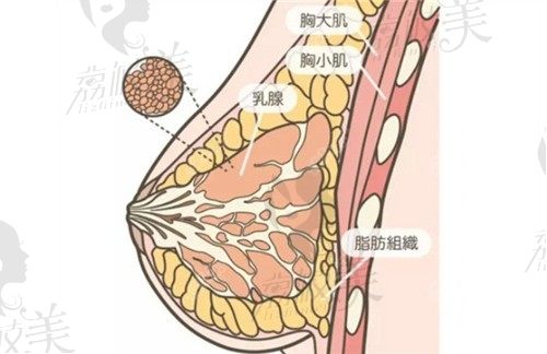 珠海九龙和韩妃哪家医院隆胸好？隆胸价格/隆胸整形优势全对比