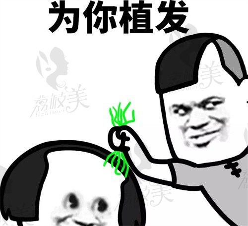 青岛植发好的医院排行榜公布，兴尚/熙朵/华韩植发疗效好价格实惠