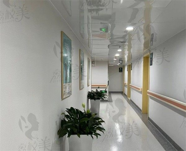北京煤医口腔走廊