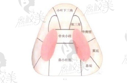白志鹏做鼻子怎么样？从白志鹏个人简历和鼻综合技术价格来说话