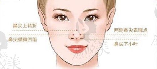 国内网红鼻整形和鼻修复医生分析:任东|向宏伟|刘波等技术口碑如何