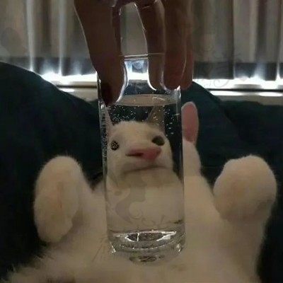 小熊比
