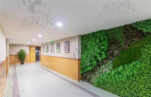上海摩尔同乐口腔医院走廊