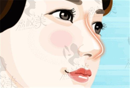 上海硅胶隆鼻手术整形医生排名分享，均是技术强口碑好的医生