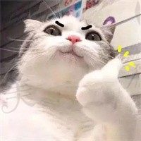 坚不可摧