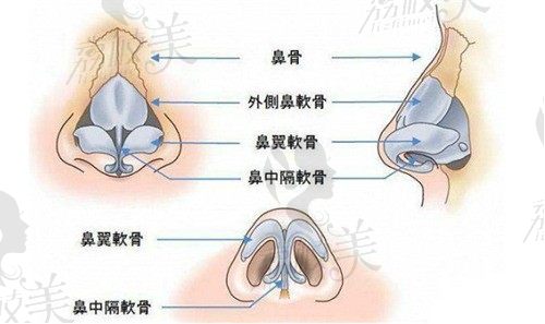 广州荔医整形余东文医生隆鼻手术做的好:鼻综合价格2.8w起