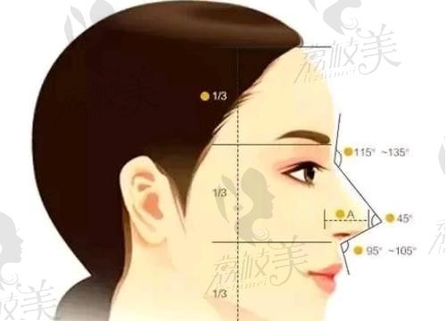 杭州刘中策做鼻子审美在线，肋软骨鼻综合2.4w起鼻子小巧精致