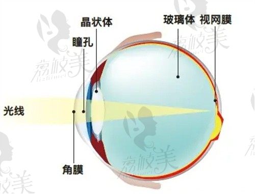 蔡司939三焦散光人工晶体视觉质量优,单眼4w起并非价格虚高