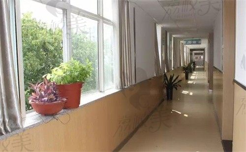 蚌埠东方医院植发科走廊