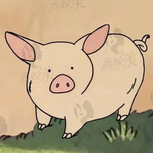 欧尔条
