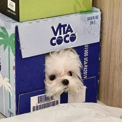 快接近