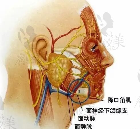 北京穆宝安在加减美医院坐诊，可以做面部提升手术五层提升价格4W+