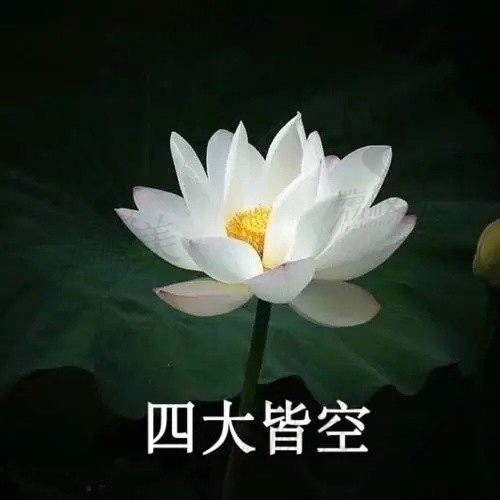 太阳吃颗芒果