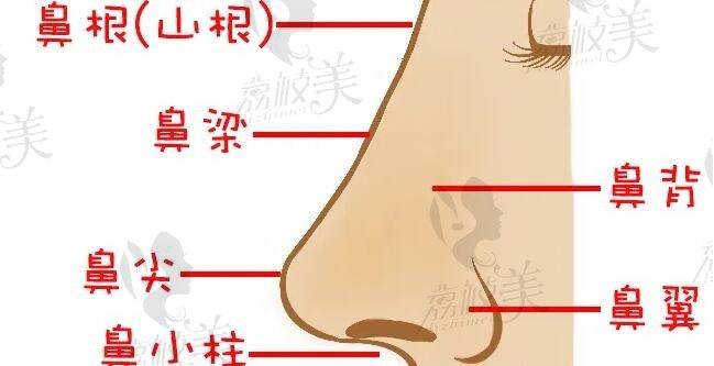 上海熊裕华做鼻子修复怎么样？价格6W+风格自然口碑好可预约挂号
