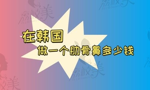 在韩国做一个肋骨鼻多少钱,扒到了韩国人爱去的隆鼻医院及价格表