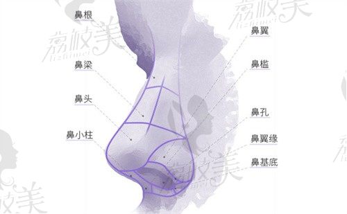 深圳寶麗李信鋒攣縮鼻修復7W起,術后自然無疤痕可放心預約