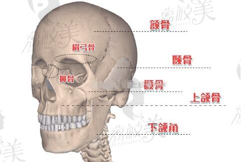 重庆有磨骨资质的医院排名前三有华美、时光、星荣综合实力强