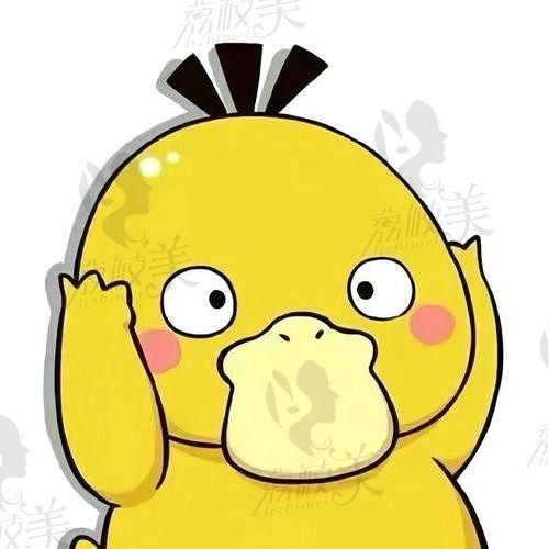 乐乐