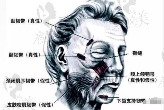 蒲兴旺整形医生现在在哪个医院？在成都懿和唯美出诊预约电话是*