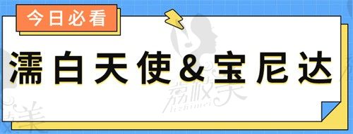 濡白天使和宝尼达哪个适合打鼻子?不能光看价格了解区别后才知哪个好！