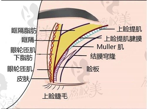 成都林靖雙眼皮做得自然又精致，林眸源生大眼綜合價格12000元起