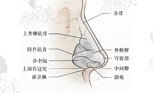 李信鋒鼻整形醫(yī)院在深圳南山大道1041號(hào)，就是深圳寶麗整形醫(yī)院地址