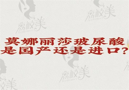 莫娜丽莎玻尿酸是国产还是进口？是韩国进口品牌价格5000起文中有优缺点