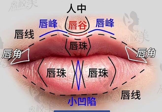 四川现代整形收费标准表2025:腹壁整形价格3.5W+缩胸2W+唇腭裂修复1.5W+