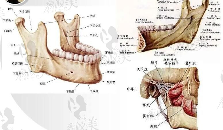 面部輪廓整形醫(yī)院醫(yī)生排名2025前十榜單，推薦的前3資質(zhì)合格技術(shù)好