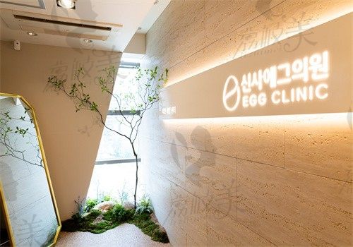 韩国新沙EGG皮肤科价目表:热玛吉五代