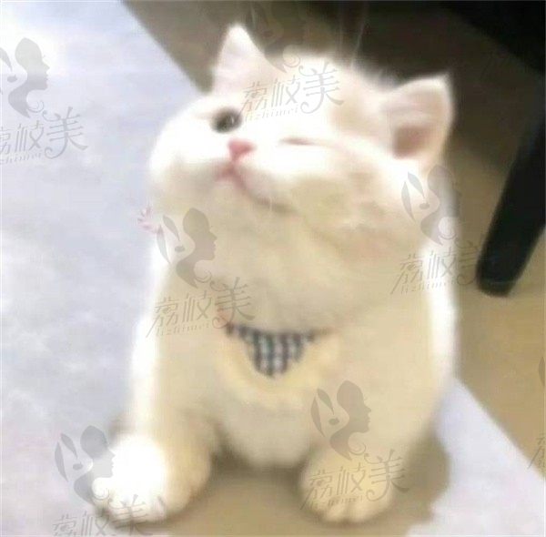 福袋