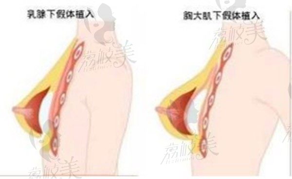 2025乐山整形医院排行榜前十强揭晓，达芬奇/莱恩/经纬领衔，附医生技术与价格对比