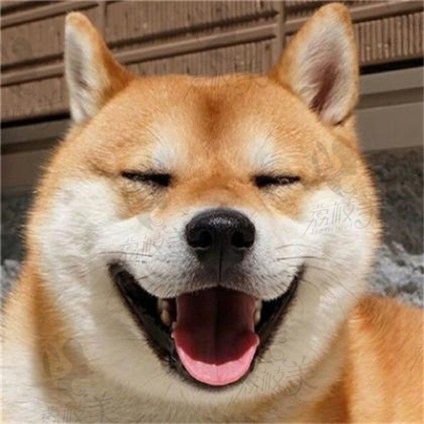 MM
