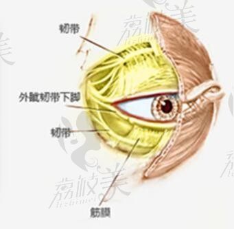 2025谭敏峰双眼皮收费标准：眼修复价格8000~4W+/初眼1800元起