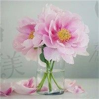 抵押物