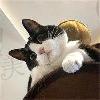 摩卡