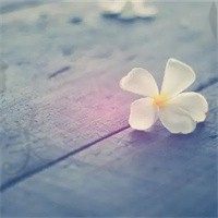 粉色花海