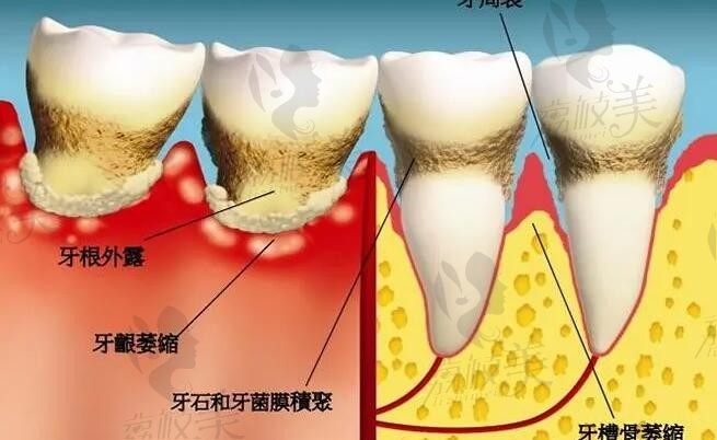 临海牙科医院排名前十出炉！本地人推荐这